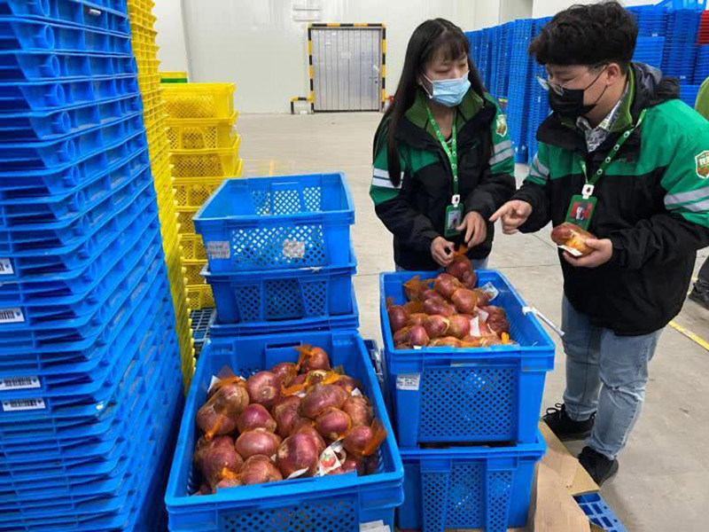 蔬菜生鮮使用塑料周轉(zhuǎn)筐